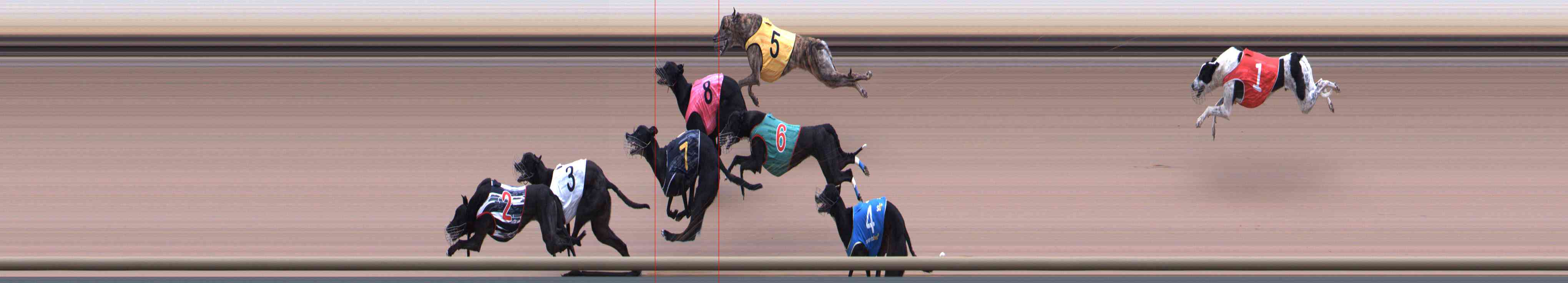 Race result finish photo